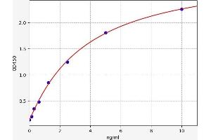 Typical standard curve (ERAP2 Kit ELISA)