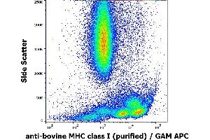 Flow cytometry surface staining pattern of bovine peripheral whole blood stained using anti-bovine MHC ClassI (IVA26) purified antibody (concentration in sample 10 μg/mL) GAM APC. (MHC Class I (Alpha+beta2m Chains) anticorps)