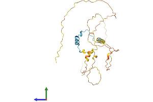 AlphaFold protein structure predicition of Human Recombinant CITED2 Protein, UniprotID Q99967