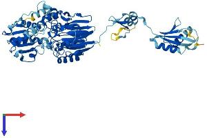 AlphaFold protein structure predicition of Human Recombinant INTS11 Protein, UniprotID Q5TA45