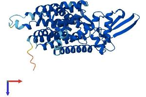 AlphaFold protein structure predicition of Human Recombinant DPAGT1 Protein, UniprotID Q9H3H5