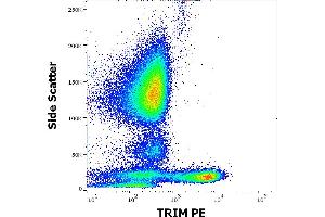 Flow cytometry intracellular staining pattern of human peripheral whole blood stained using anti-TRIM (TRIM-04) PE antibody (concentration in sample 1 μg/mL).