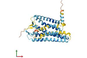 AlphaFold protein structure predicition of Human Recombinant OR10AD1 Protein, UniprotID Q8NGE0