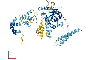AlphaFold protein structure predicition of Human Recombinant TIGD2 Protein, UniprotID Q4W5G0