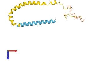 AlphaFold protein structure predicition of Human Recombinant SNCB Protein, UniprotID Q16143