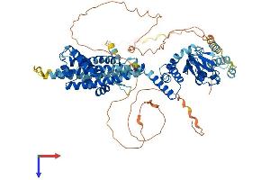 AlphaFold protein structure predicition of Human Recombinant HCN3 Protein, UniprotID Q9P1Z3