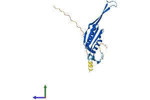 AlphaFold protein structure predicition of Human Recombinant MRPS10 Protein, UniprotID P82664