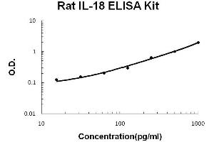 Rat IL-18 PicoKine ELISA Kit standard curve (IL-18 Kit ELISA)