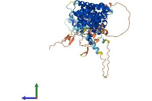 AlphaFold protein structure predicition of Human Recombinant RRN3 Protein, UniprotID Q9NYV6