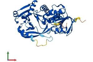 AlphaFold protein structure predicition of Human Recombinant PIPOX Protein, UniprotID Q9P0Z9