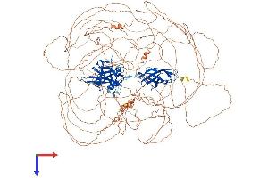 AlphaFold protein structure predicition of Mouse Recombinant Nfat5 Protein, UniprotID Q9WV30