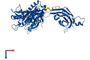 AlphaFold protein structure predicition of Mouse Recombinant Cpne1 Protein, UniprotID Q8C166