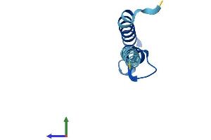AlphaFold protein structure predicition of Human Recombinant PIGY Protein, UniprotID Q3MUY2