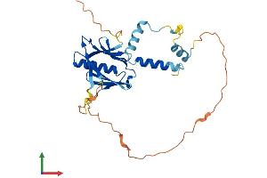 AlphaFold protein structure predicition of Human Recombinant REC114 Protein, UniprotID Q7Z4M0