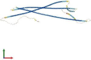 AlphaFold protein structure predicition of Mouse Recombinant Cchcr1 Protein, UniprotID Q8K2I2