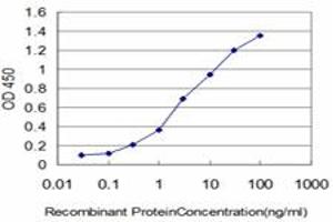 Detection limit for recombinant GST tagged FLT4 is approximately 0. (FLT4 anticorps  (AA 34-133))