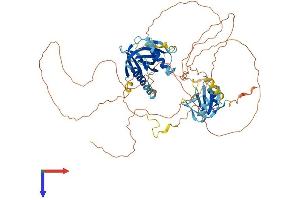 AlphaFold protein structure predicition of Mouse Recombinant Shc4 Protein, UniprotID Q6S5L9