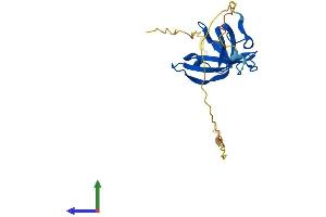 AlphaFold protein structure predicition of Mouse Recombinant Nabp2 Protein, UniprotID Q8R2Y9