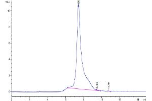 The purity of Mouse LRRN1 is greater than 95 % as determined by SEC-HPLC.