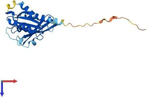AlphaFold protein structure predicition of Mouse Recombinant Rab38 Protein, UniprotID Q8QZZ8