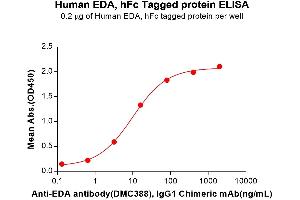 ELISA plate pre-coated by 2 μg/mL (100 μL/well) Human EDA Protein, hFc Tag (ABIN7455488, ABIN7490960 and ABIN7490962) can bind Anti-EDA antibody, IgG1 Chimeric mAb in a linear range of 3.