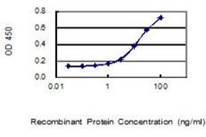 Detection limit for recombinant GST tagged DTWD1 is 0. (DTWD1 anticorps  (AA 1-304))