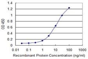 anti-Ligand of Numb-Protein X 1 (LNX1) (AA 19-118) antibody