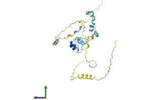 AlphaFold protein structure predicition of Human Recombinant MED19 Protein, UniprotID A0JLT2