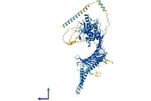 AlphaFold protein structure predicition of Mouse Recombinant Drc7 Protein, UniprotID Q6V3W6