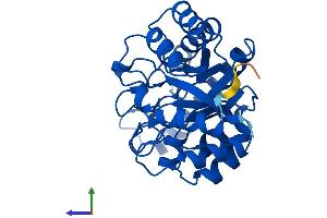 AlphaFold protein structure predicition of Human Recombinant HYI Protein, UniprotID Q5T013