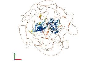 AlphaFold protein structure predicition of Mouse Recombinant Arhgef5 Protein, UniprotID E9Q7D5