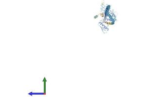 AlphaFold protein structure predicition of Mouse Recombinant Swap70 Protein, UniprotID Q6A028