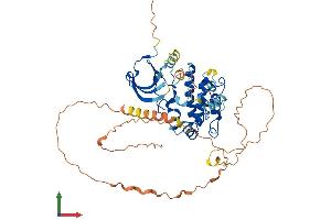 AlphaFold protein structure predicition of Mouse Recombinant Camk1g Protein, UniprotID Q91VB2