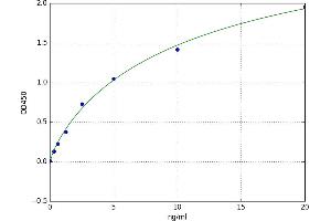 Fatty Acid Synthase (FASN) ELISA Kit