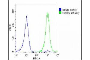 Overlay histogram showing U-2 OS cells stained with (ABIN6242874 and ABIN6578731)(green line).