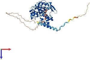AlphaFold protein structure predicition of Mouse Recombinant Hs3st3b1 Protein, UniprotID Q9QZS6