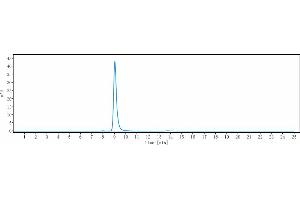 anti-G Protein-Coupled Receptor 20 (GPR20) antibody