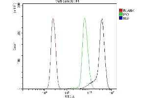 Flow Cytometry analysis of U937 cells using anti-NSF antibody (ABIN7601630).