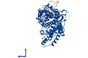 AlphaFold protein structure predicition of Human Recombinant CYP2D7 Protein, UniprotID A0A087X1C5