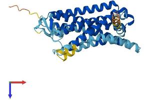 AlphaFold protein structure predicition of Human Recombinant OR7A5 Protein, UniprotID Q15622