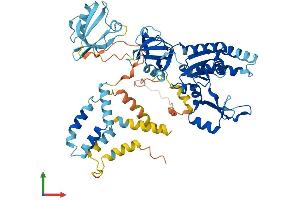AlphaFold protein structure predicition of Human Recombinant MPP2 Protein, UniprotID Q14168