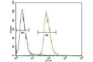 ETV5 antibody flow cytometric analysis of 293 cells (green) compared to a negative control (blue).