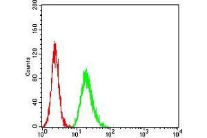 Flow cytometric analysis of Hela cells using TCF4 mouse mAb (green) and negative control (red).