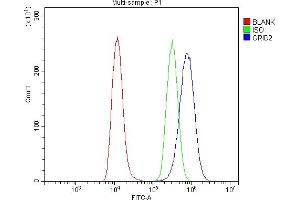 Flow Cytometry analysis of U20S cells using anti-GRID2 antibody (ABIN7603172). (GRID2 anticorps  (N-Term))