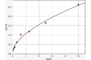 Typical standard curve (CFC1 Kit ELISA)