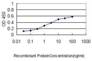 Detection limit for recombinant GST tagged CDC2L2 is approximately 0.