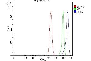 Flow Cytometry analysis of Caco-2 cells using anti-RIP2/RIPK2 antibody (ABIN7600113).