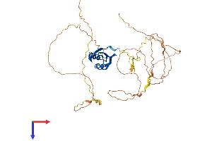 AlphaFold protein structure predicition of Human Recombinant RBFOX1 Protein, UniprotID Q9NWB1