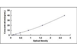 Typical standard curve (B3GALT1 Kit ELISA)