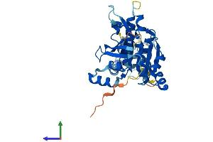 AlphaFold protein structure predicition of Mouse Recombinant Rad51d Protein, UniprotID O55230